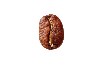 دانه قهوه